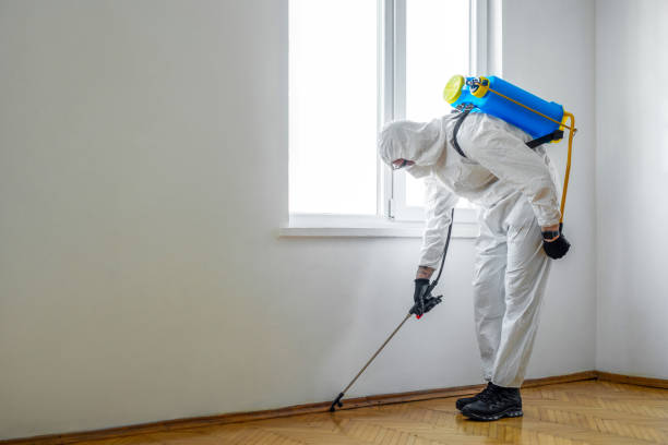 Best Pest Removal Services  in Homestead, FL