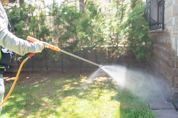 Best Affordable Pest Control Services  in Homestead, FL