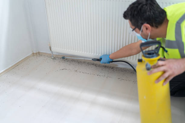 Trusted Homestead, FL Pest Control Experts