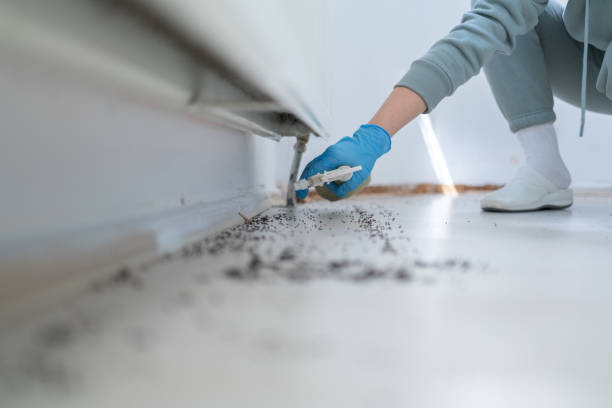 Best Emergency Pest Control  in Homestead, FL